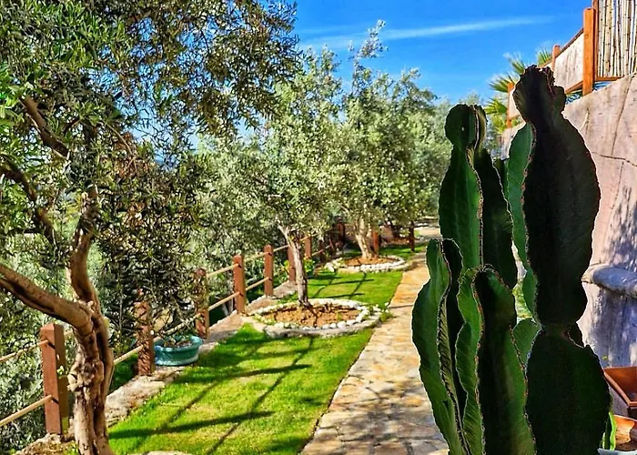 Loca Hill Pansiyon *